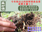 rx(chng)Ĳ շb 0.8/r(ji)80Ԫ/