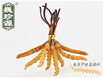 xĲ2.2l/ ڲ x؛r(ji)286Ԫ/