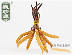 xĲ2l/ ڲ x؛r(ji)306Ԫ/