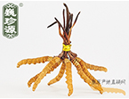 x(chng)Ĳ2.5l/ ڲ x؛r(ji)252Ԫ/